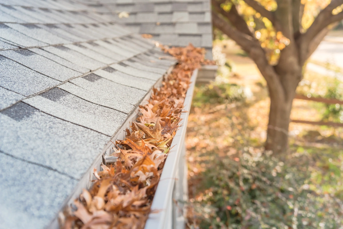 how to replace roof shingles cleaning out gutters