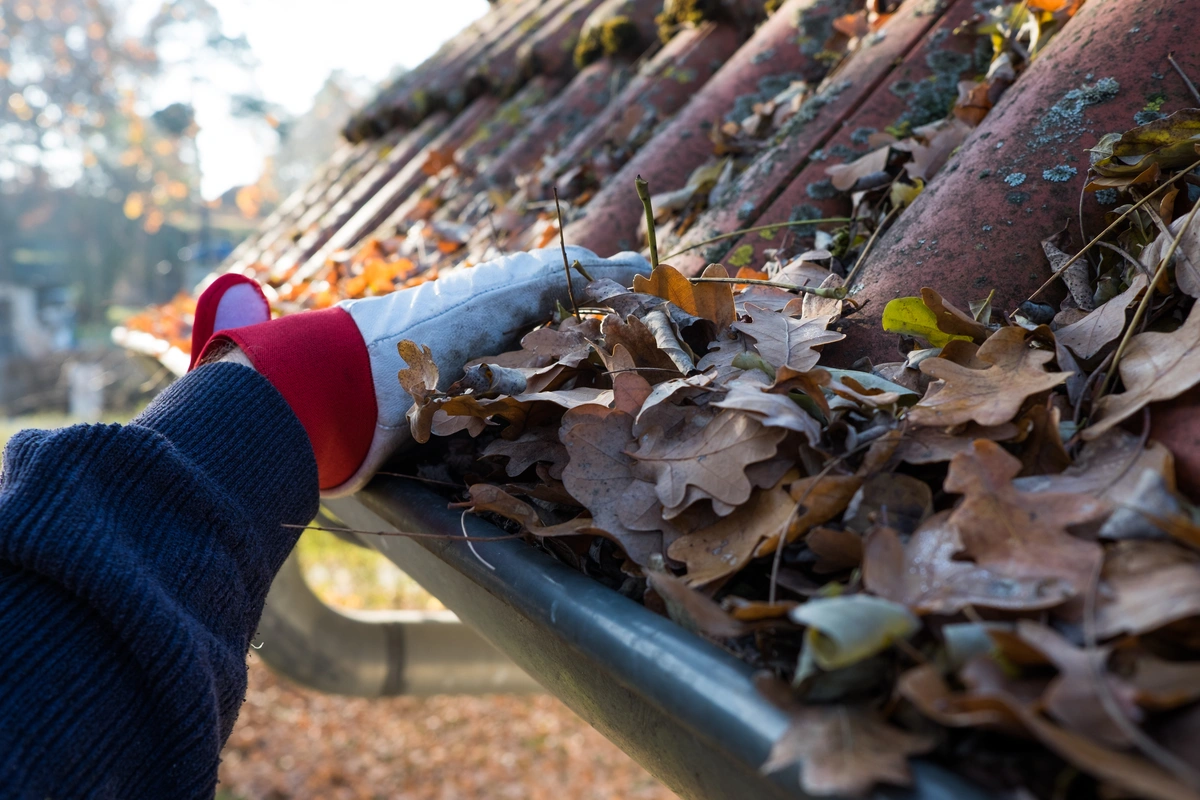 how to cut shingles cleaning out leaves from gutter