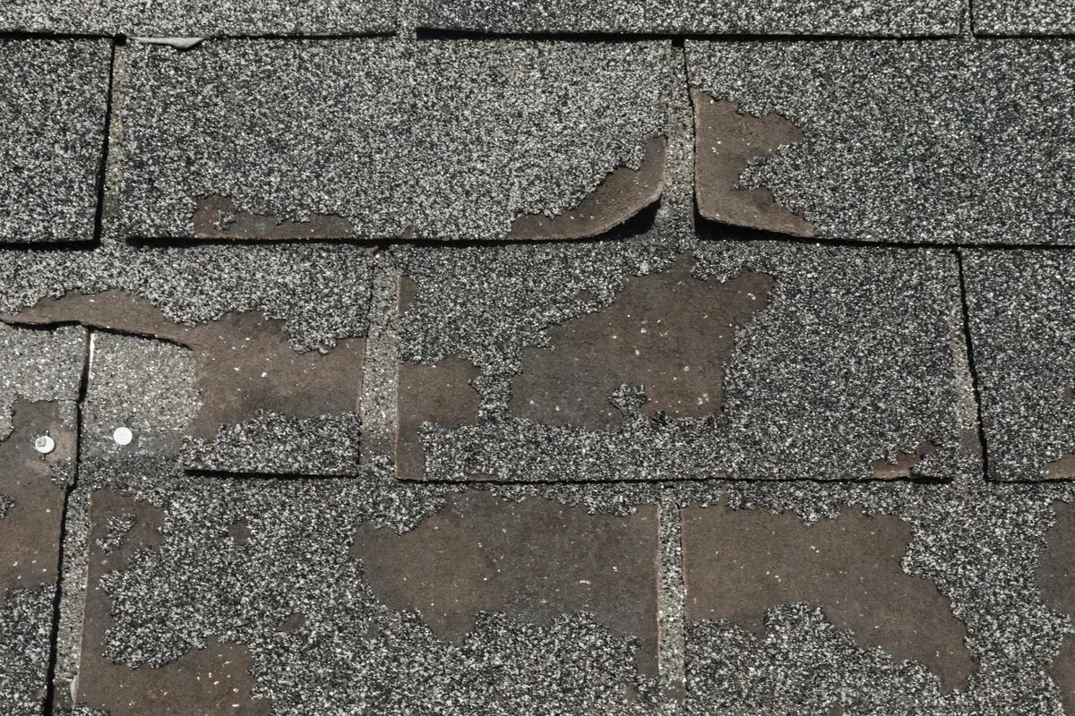 shingle granule loss discovering roof erosion