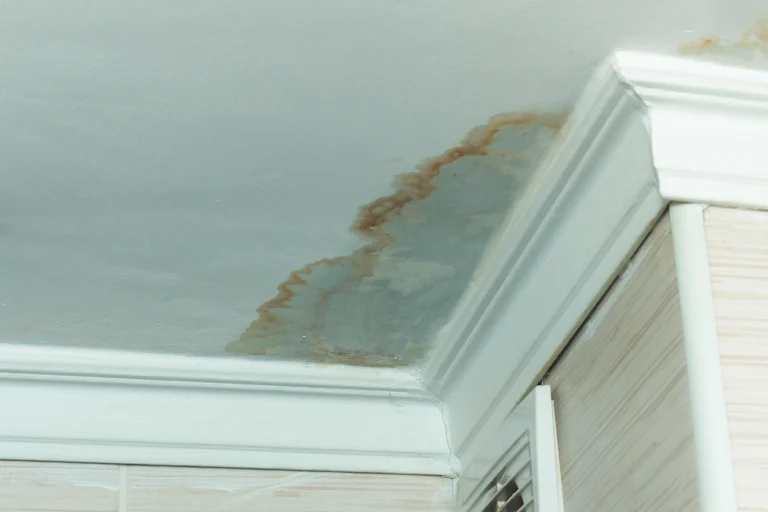 Roof Leak Repair in 11 Steps (Homeowner’s Guide)