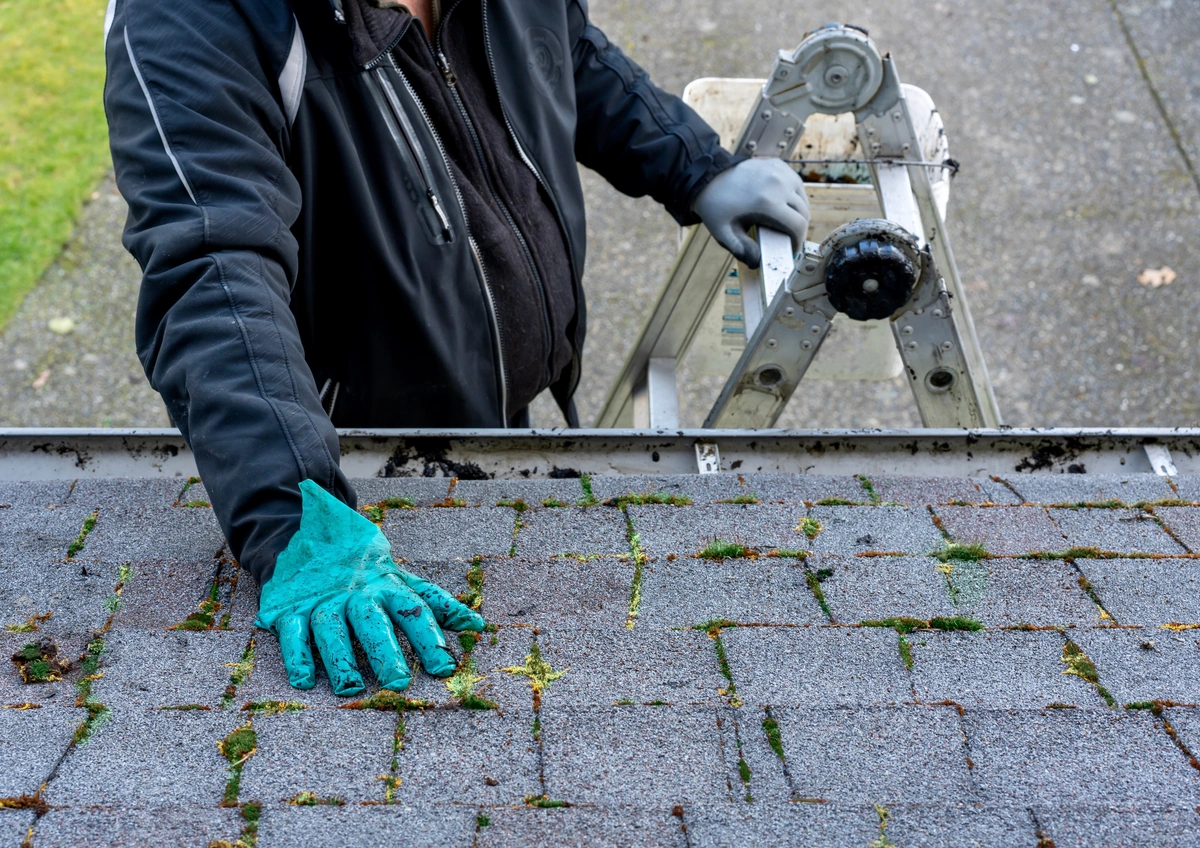 inspecting-roof-shingles