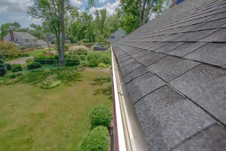 gutter cleaning cost-gutter inspection