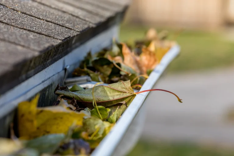 How Much Does a Gutter Cleaning Cost? (2024)