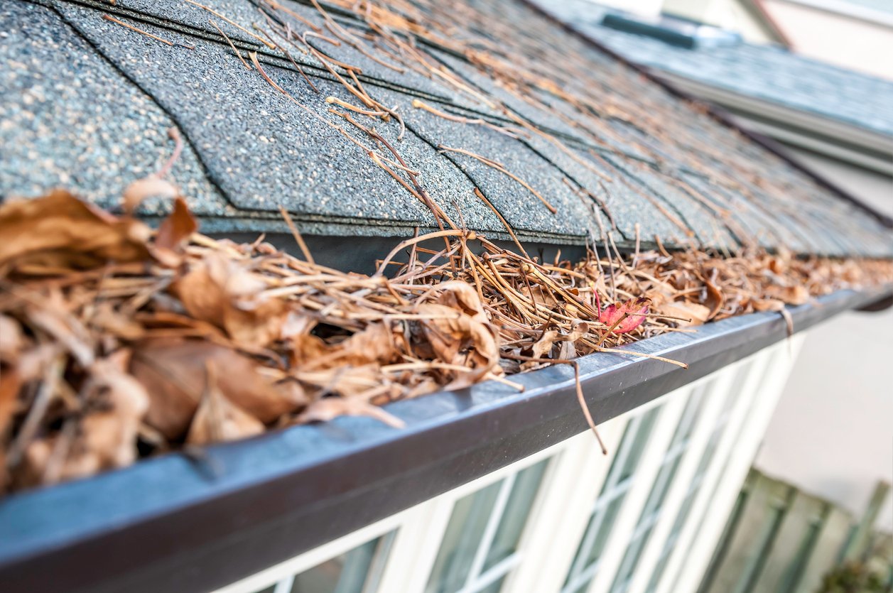 clogged gutters cause roof damage